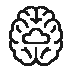 brain (2)